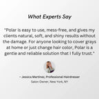 Polar Hair CARE Polar Haircare - Hair Dye Shampoo for Gray Hair for Women & Men (Jet Black) Natural Hair Dye Kit - Semi Permanent Hair Dye Shampoo - Vegan Hair Dye USA 6.76 Fl Oz