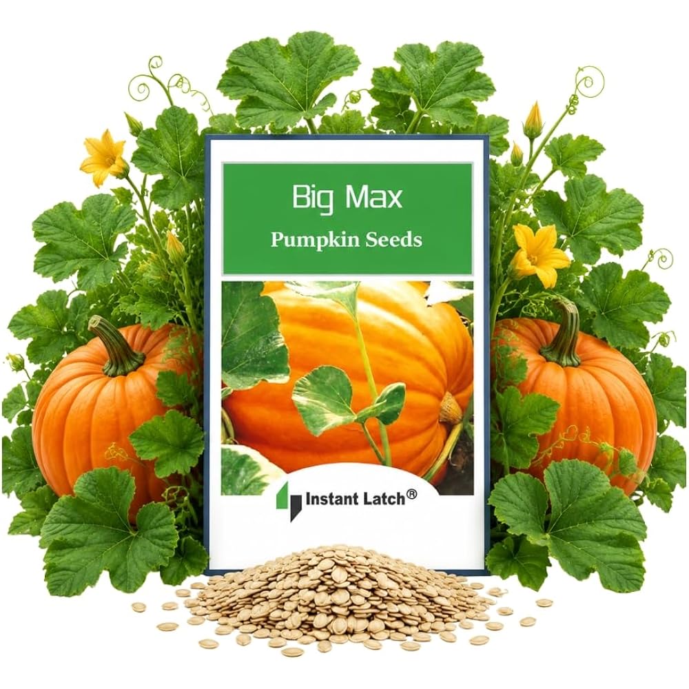 20 Big Max Pumpkin Seeds For Planting Non Gmo Heirloom Seeds Fresh Garden Seed | Non Gmo, Heirloom Seeds, Fresh Garden Seed