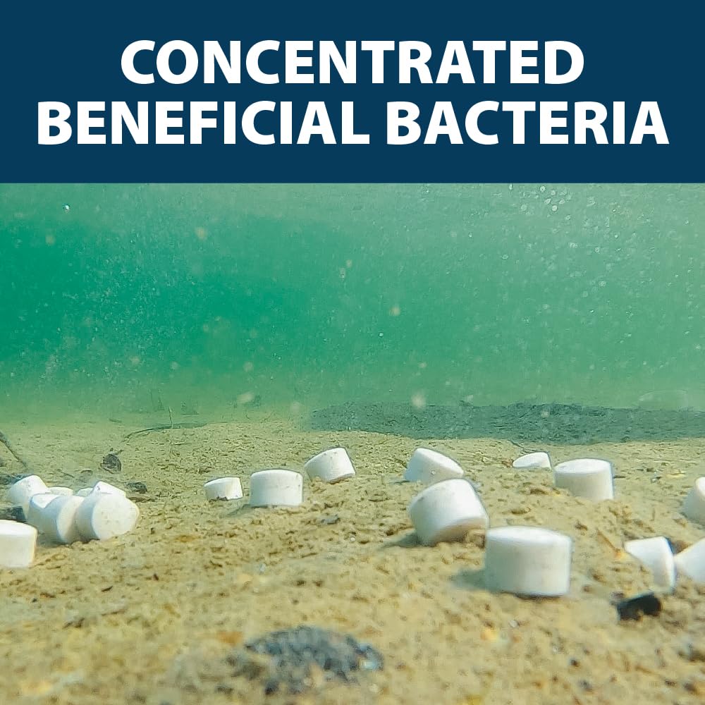 Airmax Muckaway Bacteria Enzyme Tablets For Ponds & Lakes, 8 Scoops | Natural Beneficial Bacteria Muck, Sludge & Noxious Odor Solution For Cleaner Beaches & Shorelines; Fish, Pet & Wildlife Safe