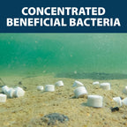Airmax Muckaway Bacteria Enzyme Tablets For Ponds & Lakes, 8 Scoops | Natural Beneficial Bacteria Muck, Sludge & Noxious Odor Solution For Cleaner Beaches & Shorelines; Fish, Pet & Wildlife Safe