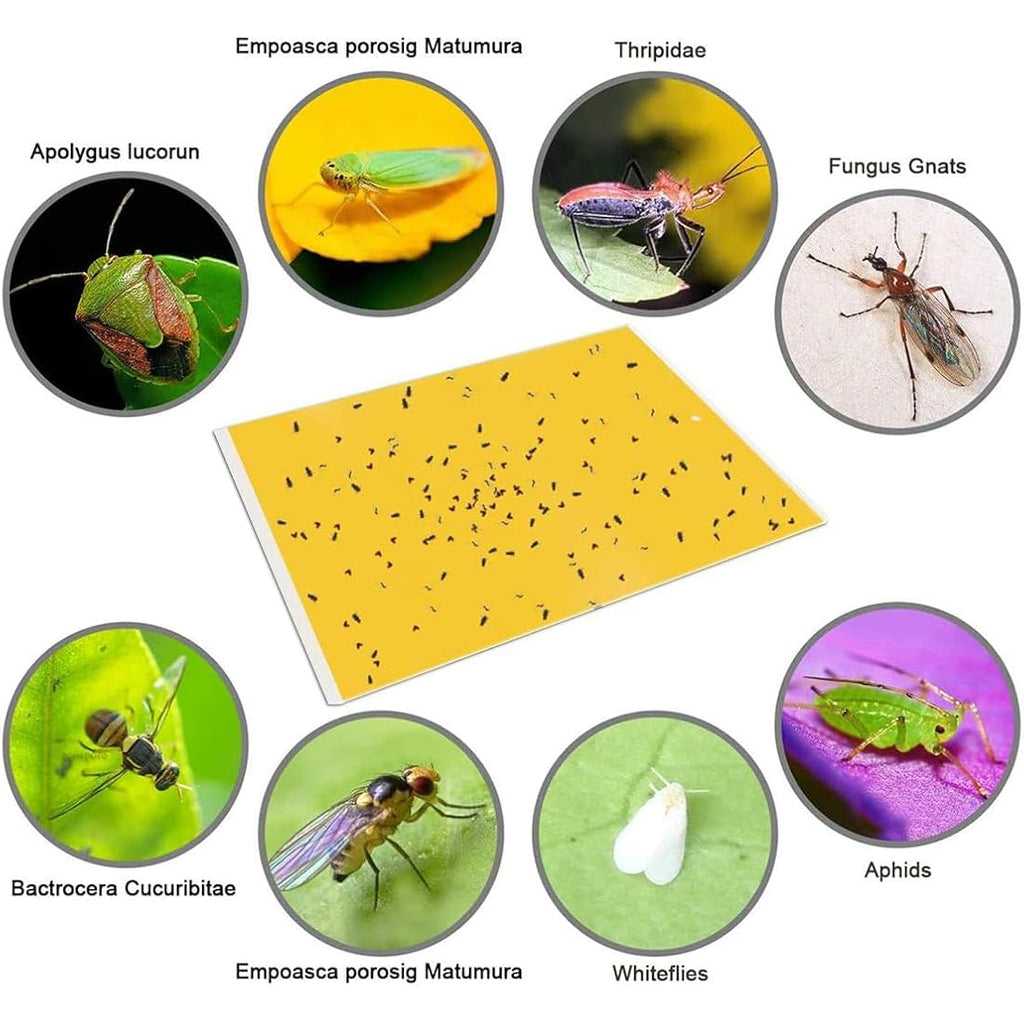 Gideal 20-Pack Dual-Sided Yellow Sticky Traps For Flying Plant Insect Such As Fungus Gnats, Whiteflies, Aphids, Leafminers,Thrips - (6X8 Inches, Included 20Pcs Twist Ties)