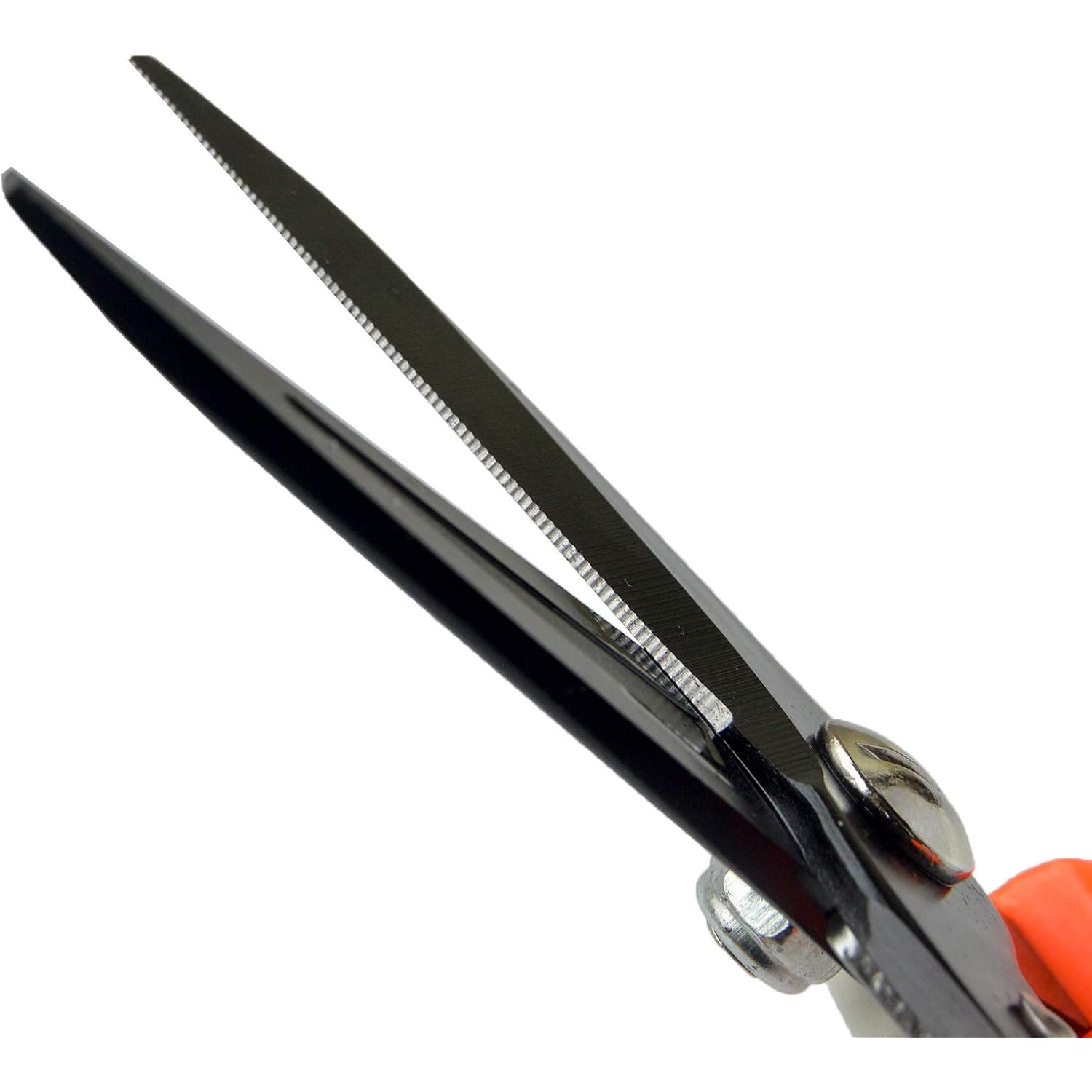 Hoof Trimmers Goat Hoof Trimming Shears Nail Clippers For Sheep, Alpaca, Lamb, Pig Hooves Multiuse Carbon Steel Trimmer
