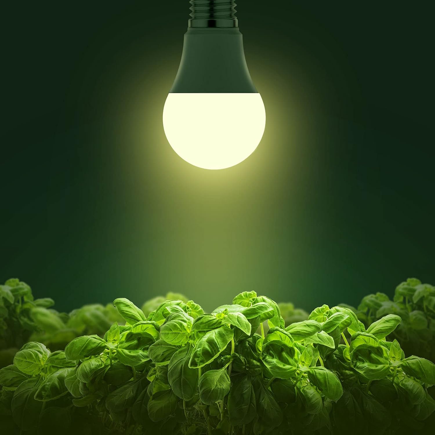 Grow Light Bulbs, Briignite Led Grow Light Bulb A19 Bulb, Full Spectrum Grow Light Bulb, Plant Light Bulbs E26 Base, 11W Grow Bulb 100W Equivalent, Grow Light For Indoor Plants, Seed Starting, 2Pack