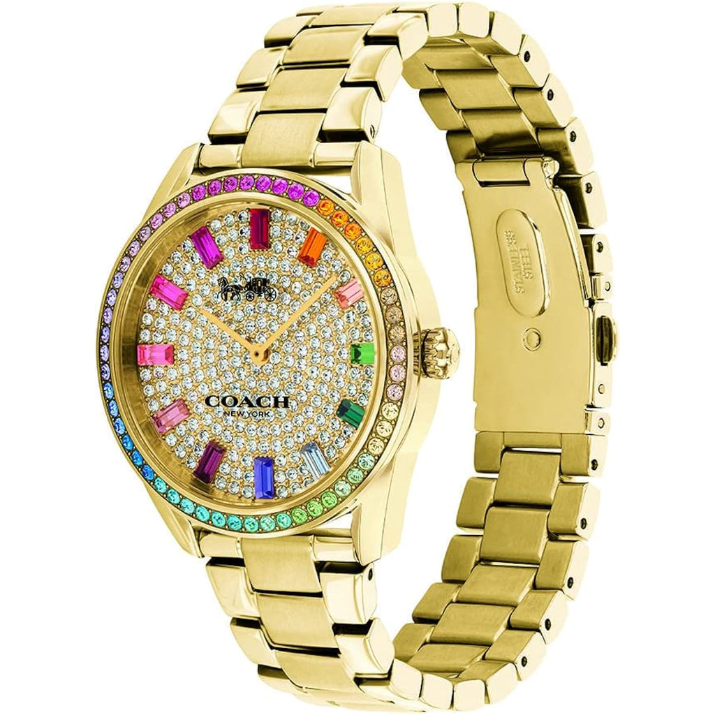 Coach Preston Women'S Watch | Touch Of Playfulness | Timeless Elegance For Your Everyday Wear (Model 14503657)