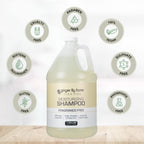 Ginger Lily Farms Club & Fitness Moisturizing Shampoo For All Hair Types, 100% Vegan & Cruelty-Free, Fragrance Free, 1 Gallon (128 Fl Oz) Refill