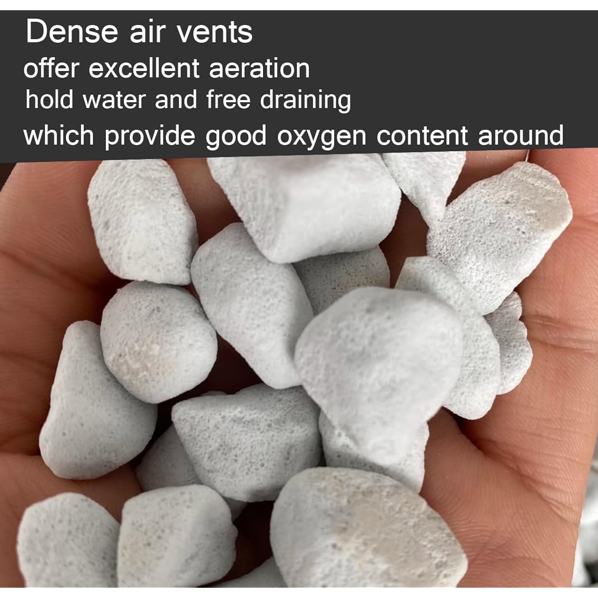 10Qt Organic Perlite Horticultural Soil Amendment For Plants And Enhanced Drainage Enhanced