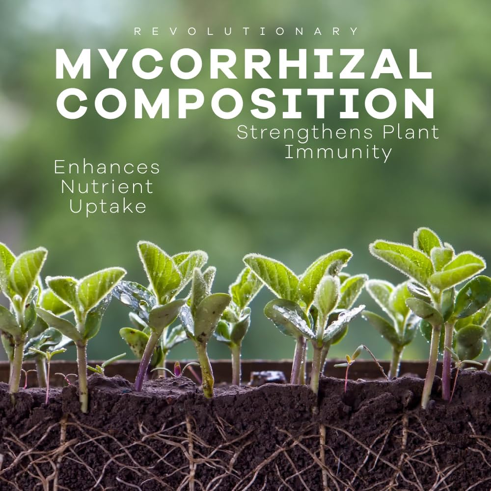 Dynomyco Granular Mycorrhizal Fungi Inoculant, 100G / 3.5Oz – Boosts Root Growth, Yields & Nutrient Uptake – 900 Propagules/G, Concentrated Granules, & Omri Listed – Biofertilizer For Plant Growth