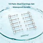10 Pairs Small Stud Earrings for Women Precision-Cut Cubic Zirconia Earrings for Sensitive Ears Hypoallergenic Surgical Stainless Steel Tiny Stack Earrings for Multiple Piercing