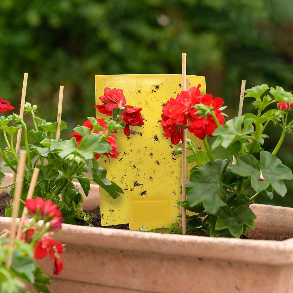 Gideal 20-Pack Dual-Sided Yellow Sticky Traps For Flying Plant Insect Such As Fungus Gnats, Whiteflies, Aphids, Leafminers,Thrips - (6X8 Inches, Included 20Pcs Twist Ties)