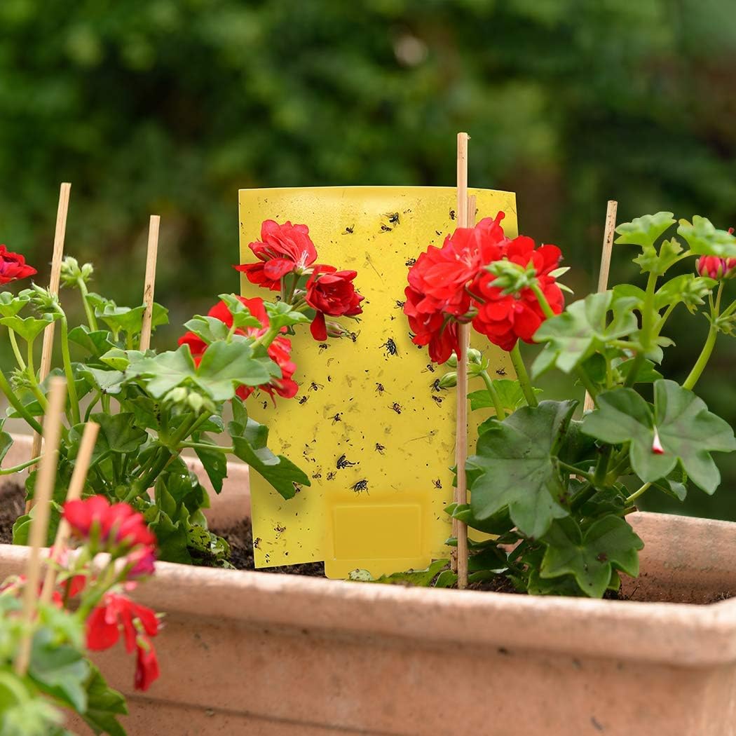 Gideal 20-Pack Dual-Sided Yellow Sticky Traps For Flying Plant Insect Such As Fungus Gnats, Whiteflies, Aphids, Leafminers,Thrips - (6X8 Inches, Included 20Pcs Twist Ties)