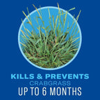 Bioadvanced 5-In-1 Weed And Feed Granules - Kills Lawn Weeds & Crabgrass - Feeds, Greens & Strengthens Lawn - Treats Up To 4,000 Square Feet - 9.6 Lb Bag | Kills Lawn Weeds & Crabgrass - Feeds, Greens, And Strengthens Lawn - Treats Up To 4,000 Square Feet