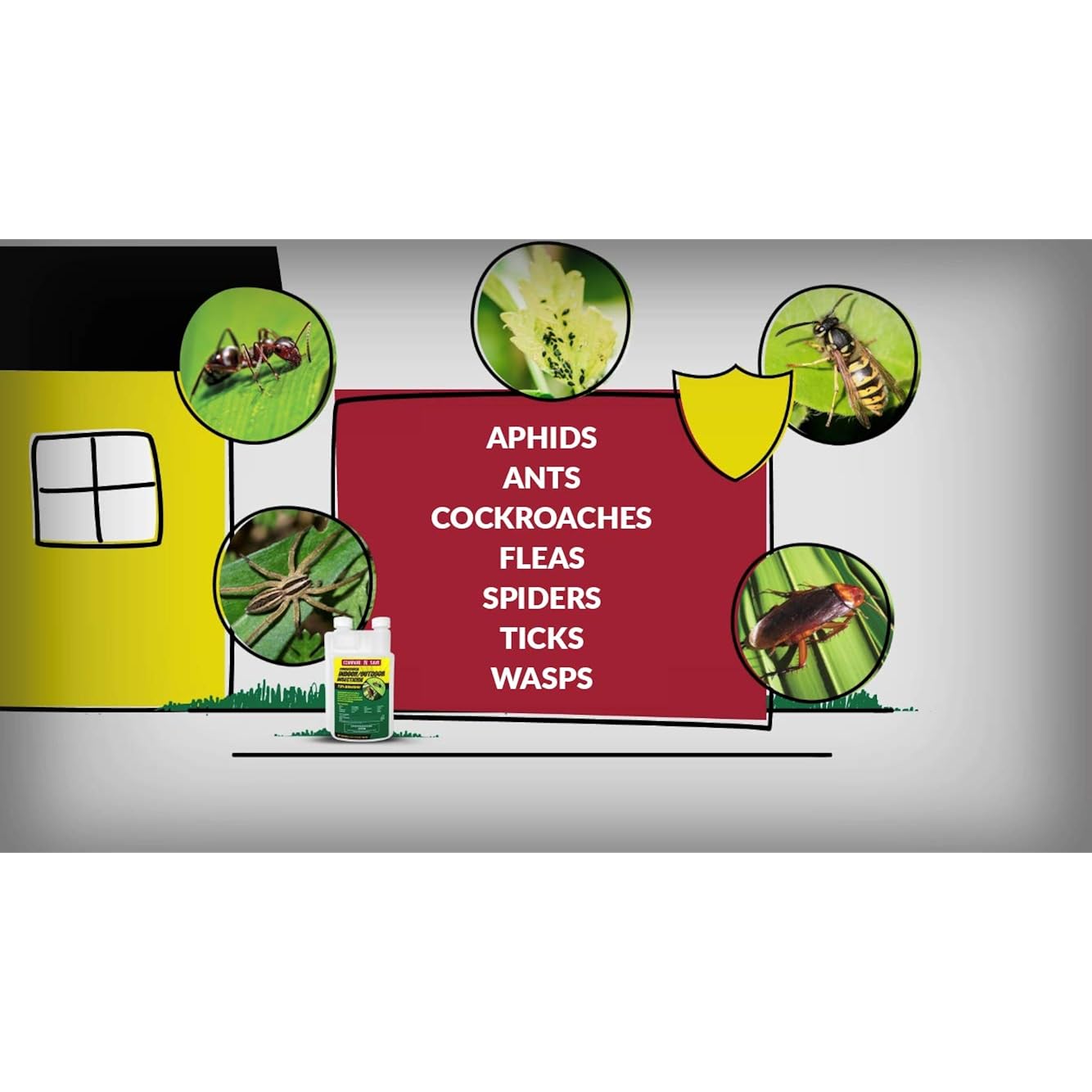 Compare-N-Save Concentrate Indoor & Outdoor Insect Control, 32 Oz, Model Number: 75366