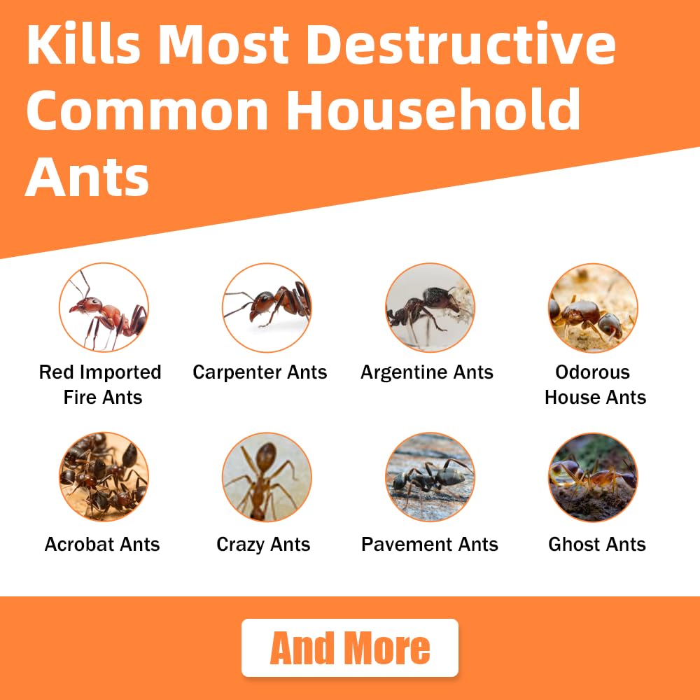 48 Pack Ant Bait Gel Stations For Common Household Ants, Indoor & Outdoor Ant Traps, Effective Carpenter Ant Killer For Home, Kitchen, Garden, Ready-To-Use & No Mess Ant Gel Bait Kills The Colony