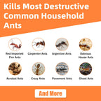 48 Pack Ant Bait Gel Stations For Common Household Ants, Indoor & Outdoor Ant Traps, Effective Carpenter Ant Killer For Home, Kitchen, Garden, Ready-To-Use & No Mess Ant Gel Bait Kills The Colony