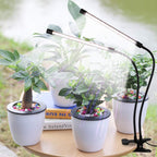 Led Grow Light,6000K Full Spectrum Clip Plant Growing Lamp With White Red Leds For Indoor Plants,5-Level Dimmable,Auto On Off Timing 4 8 12Hrs