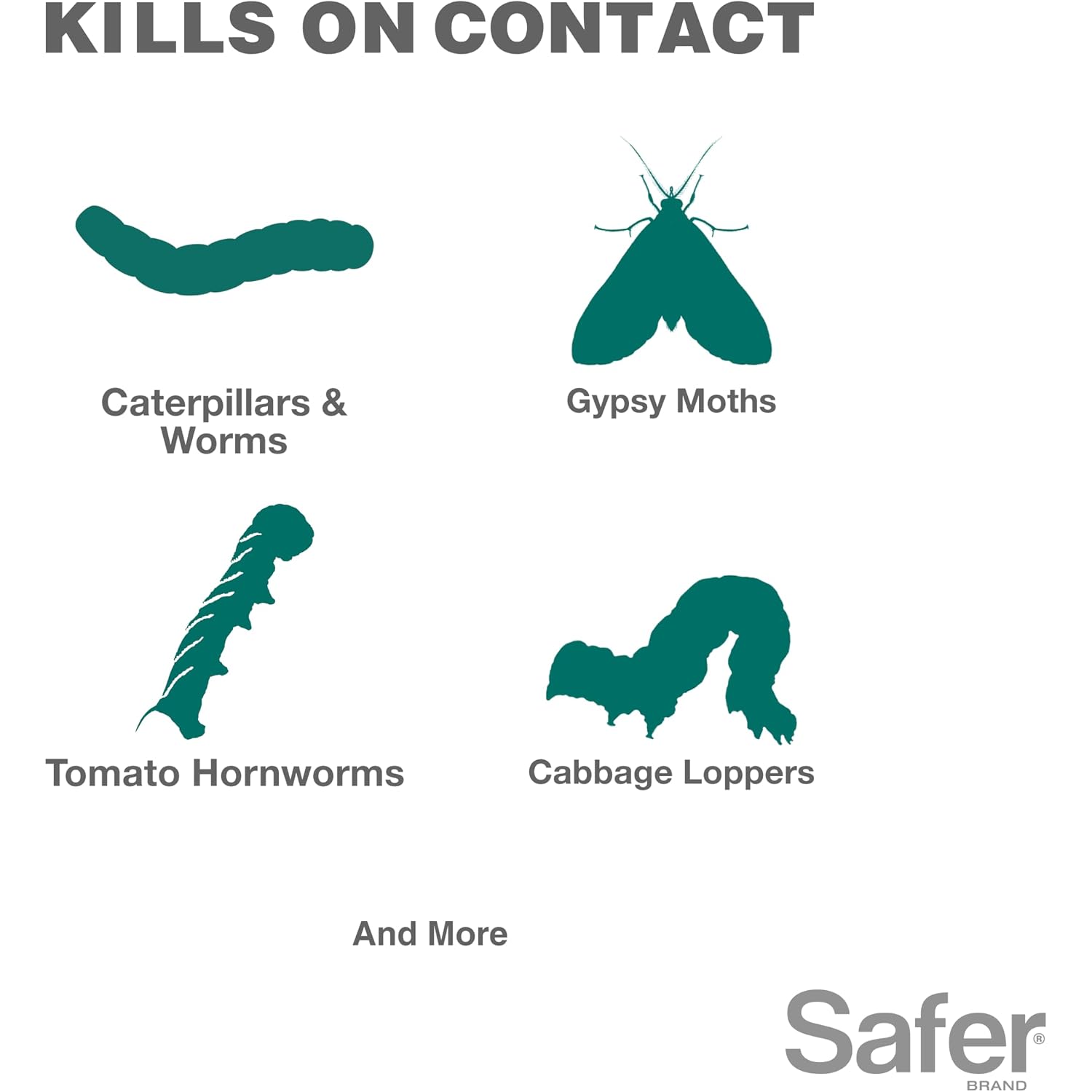 Safer Brand Caterpillar Killer Ii Concentrate Spray, 16 Fl Oz | Kills Caterpillars, Gypsy Moth Larvae, Worms & Cabbage Loopers, Organic Pest Control Spray, Outdoor Use In Plants & Gardens