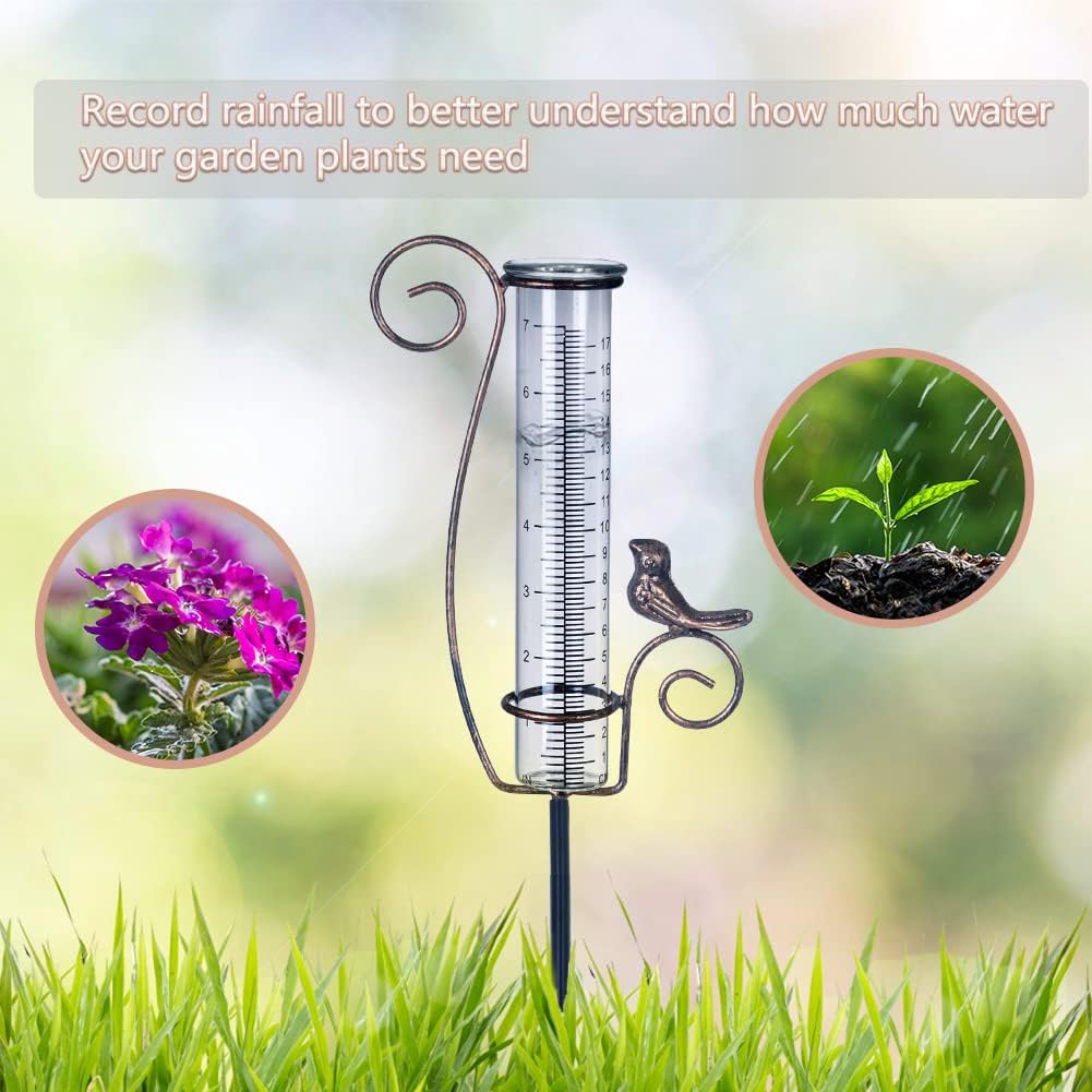 Rain Gauge Outdoor, 7 Inch Rain Gauges For Measuring Precipitation | Glass Tube, For Garden Yard Decor