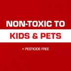 Tomcat Super Hold Glue Traps Mouse Size For Mice, Cockroaches, Spiders, And Scorpions, Ready-To-Use, 4 Traps | For Mice, Cockroaches, Spiders, And Scorpions, Ready-To-Use