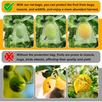 100Pcs Fruit Protection Bags, 4X6 Inch Green Strawberry Netting Cover Drawstring Mesh Bags Pest Barrier For Blueberry Small Fruit