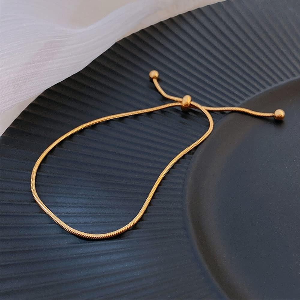 Ankle Bracelets for Women Waterproof Adjustable Stainless Steel Chain Anklet Bracelet for Women Vintage Fashion Simple Thin Chain Anklet Female Foot Summer Beach Jewelry Gift
