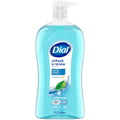 Dial Body Wash, Refresh & Renew Spring Water, 32 Fl Oz