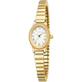 Small Gold Watches for Women,Analog Womens Watch with Stainless Steel Expansion Band,Oval Case Roman Dial,Water Resistant