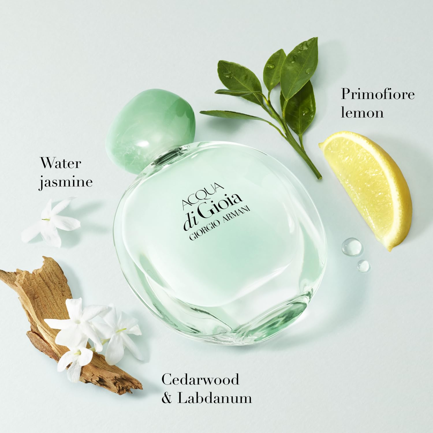 Armani Beauty – Acqua di Gioia Eau de Parfum – Women's Perfume Travel Set ($111 Value) – Full Size (1.0 Fl Oz) & Travel Size (0.3 Fl Oz) Perfumes