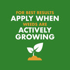 Spectracide Weed & Feed 20-0-0, 3 Count, Easy To Use Quickflip Sprayer, Kills Weeds While Feeding Your Lawn, Kills Major Broadleaf Weeds Like Dandelion, Chickweed, Clover And Plantain