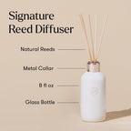 Capri Blue Volcano Reed Diffuser Set, Includes Reeds, Fragrance Oil, And Glass Bottle For Home Décor, Room Fresheners, White (8 Fl Oz)