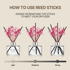 Cocodor Flower Reed Diffuser Set / 6.7Oz / White Jasmine/Scent Diffuser With Sticks Home Fragrance Reed Diffuser For Bathroom Shelf Decor