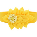 TeeYee Womens Elastic Big Décor Flowers Belt Wide Stretch Adjustable Fashion Waist Belt
