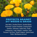 Bioadvanced All-In-One Lawn Weed And Crabgrass Killer I, Concentrate, 40 Oz