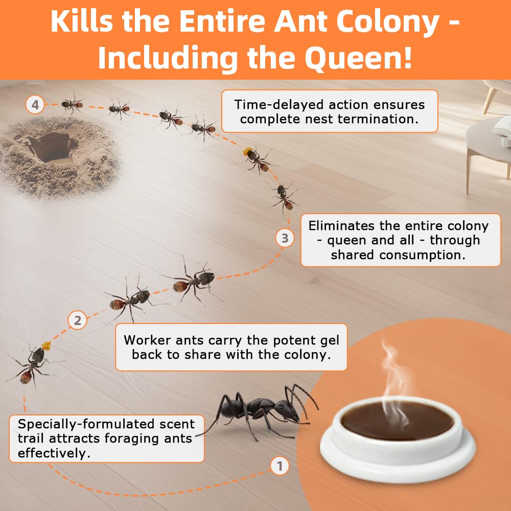 48 Pack Ant Bait Gel Stations For Common Household Ants, Indoor & Outdoor Ant Traps, Effective Carpenter Ant Killer For Home, Kitchen, Garden, Ready-To-Use & No Mess Ant Gel Bait Kills The Colony
