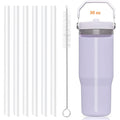 Replacement Straws - Only Compatible With 30 Oz & 64 Oz (Old Model) Stanley Iceflow Flip Straw Tumbler-Accessories Included 6 Straws,1 Cleaning Brush