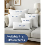 Throw Pillow Inserts 18x18 Set of 2 - Fluffy Down Alternative Fill - 10% More Fill Than Standard Loft - Plump Bounce-Back Support for Indoor & Outdoor Use - Hypoallergenic & Machine Washable - White