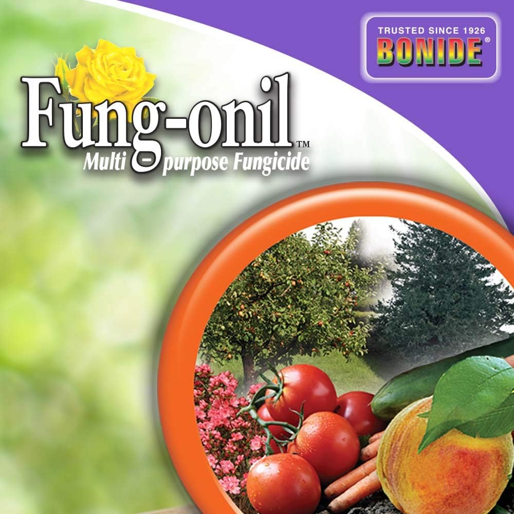 Bonide Fung-Onil Multi-Purpose Fungicide, 32 Oz Ready-To-Use Spray For Plant Disease Control, Controls Blight, Mildew & More | Plant Disease Control, Controls Blight, Mildew & More