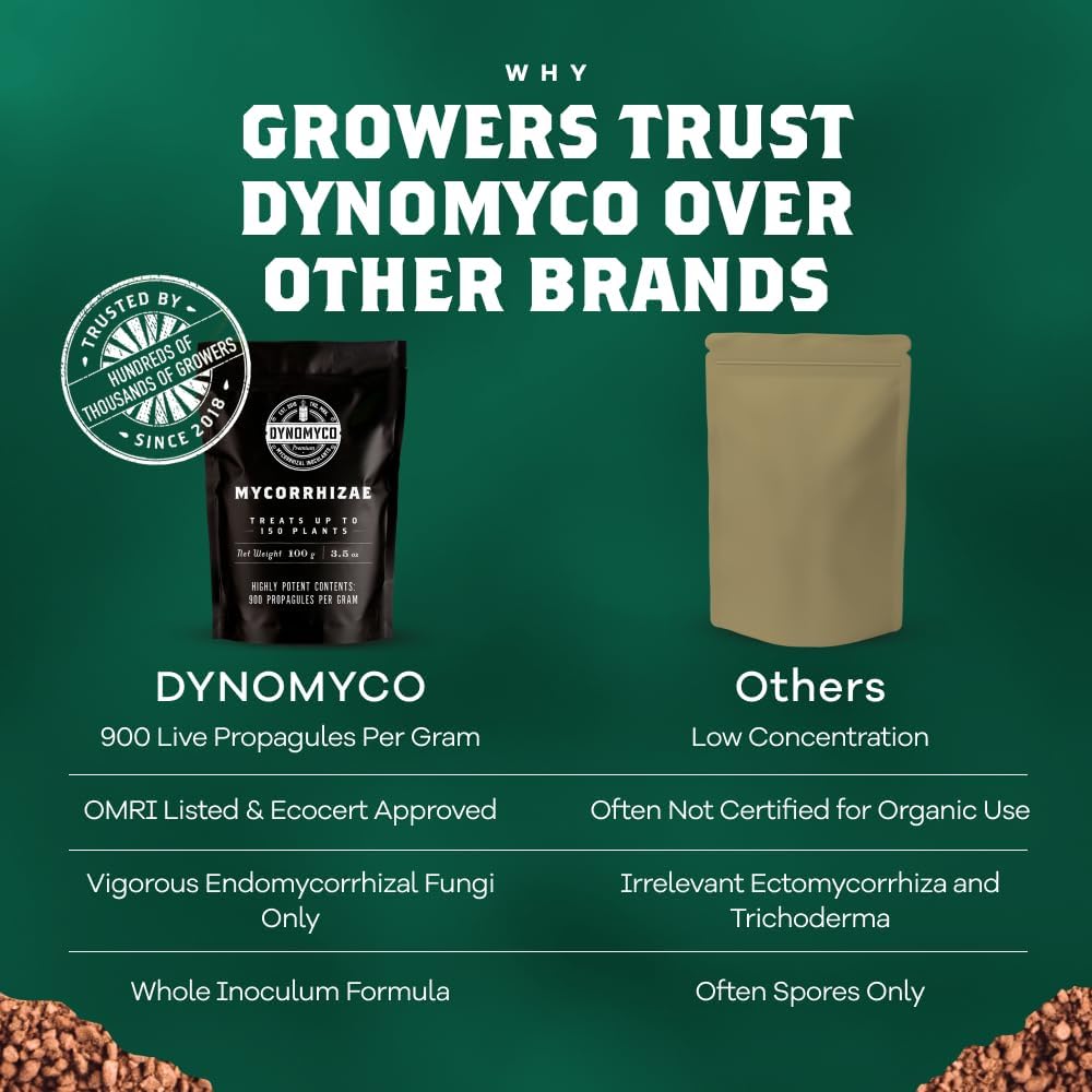Dynomyco Granular Mycorrhizal Fungi Inoculant, 100G / 3.5Oz – Boosts Root Growth, Yields & Nutrient Uptake – 900 Propagules/G, Concentrated Granules, & Omri Listed – Biofertilizer For Plant Growth