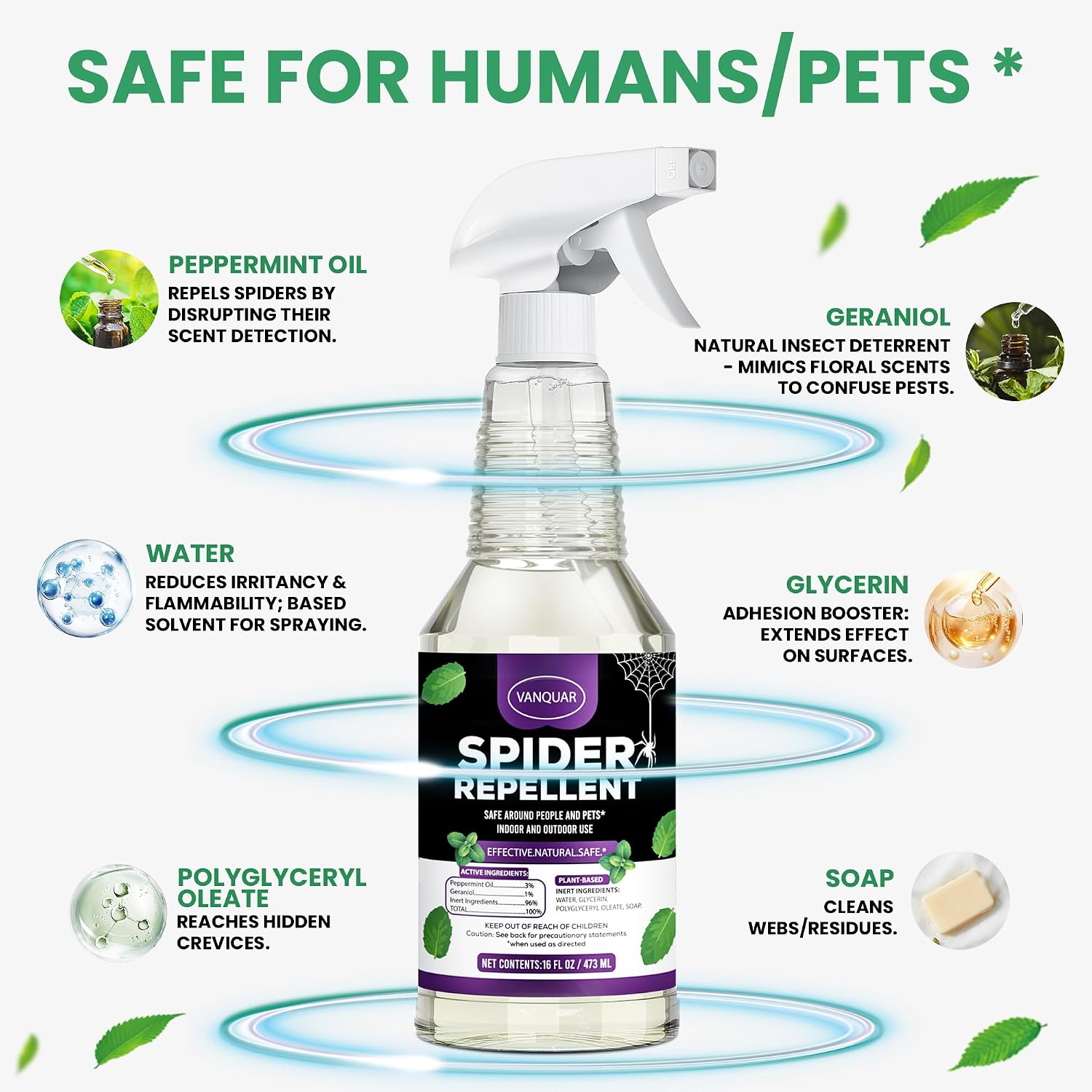 Peppermint Oil Insect & Spider Repellent Spray - All-Natural, Pet-Safe Bug Control For Home, Kitchen & Garden - 16 Oz