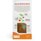 Back To The Roots Self-Watering Terracotta Olla Pot (Pack Of 3), 700Ml Provides 1 Week Of Precision Watering