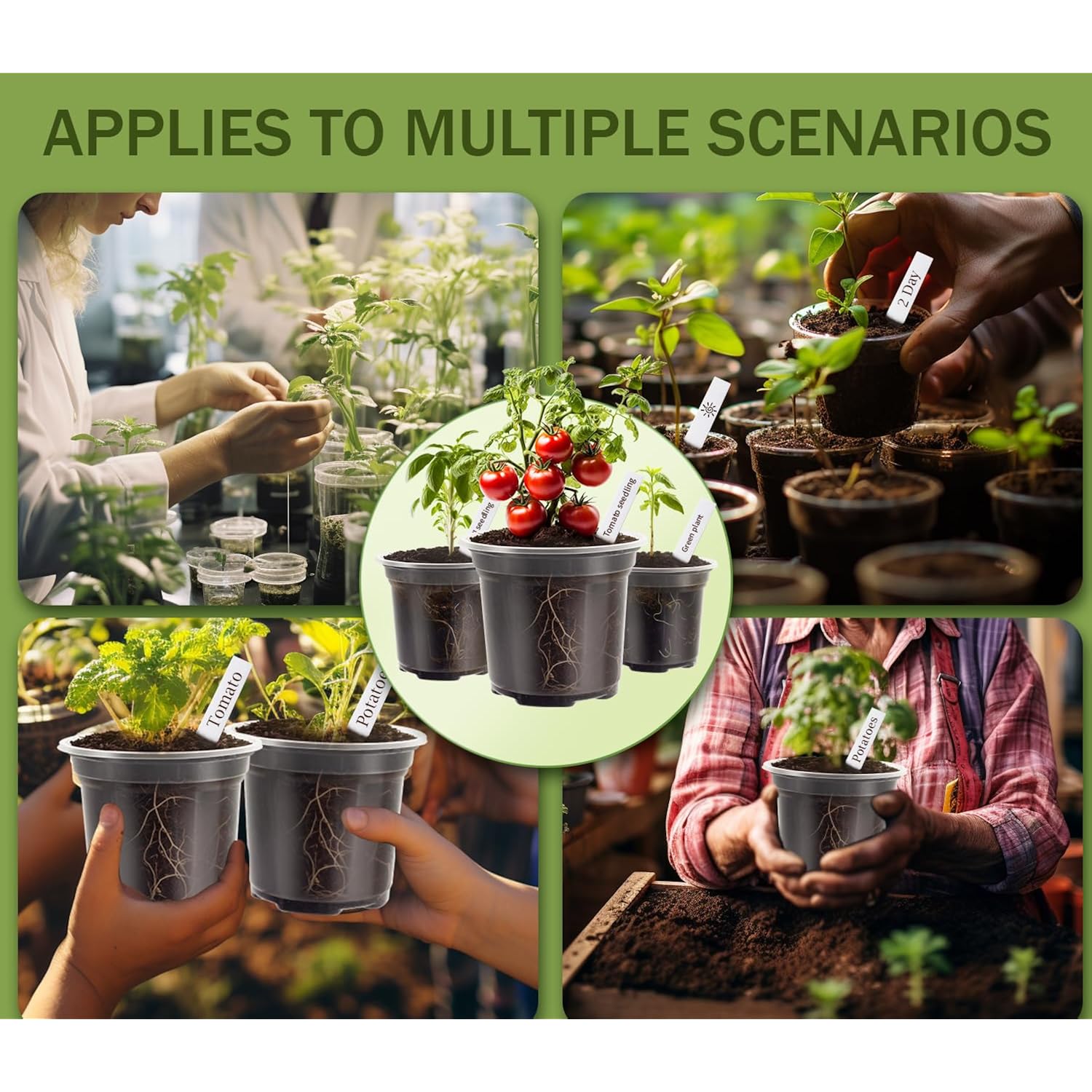 30 Pack Clear Nursery Plant Pots, 3.5/4/5 In With Drainage Holes, 20 Labels | High Transparency (Clear View Of Root Growth), Variety Pack, Good Drainage, 20 Pack Easy-Id Plant Labels