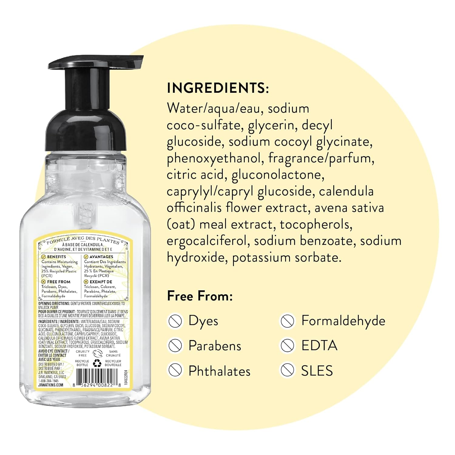 J.R. Watkins Foaming Hand Soap with Pump Dispenser, Moisturizing Foam Hand Wash, Alcohol-Free, Cruelty-Free, Citron, 9 fl oz, 3 Pack