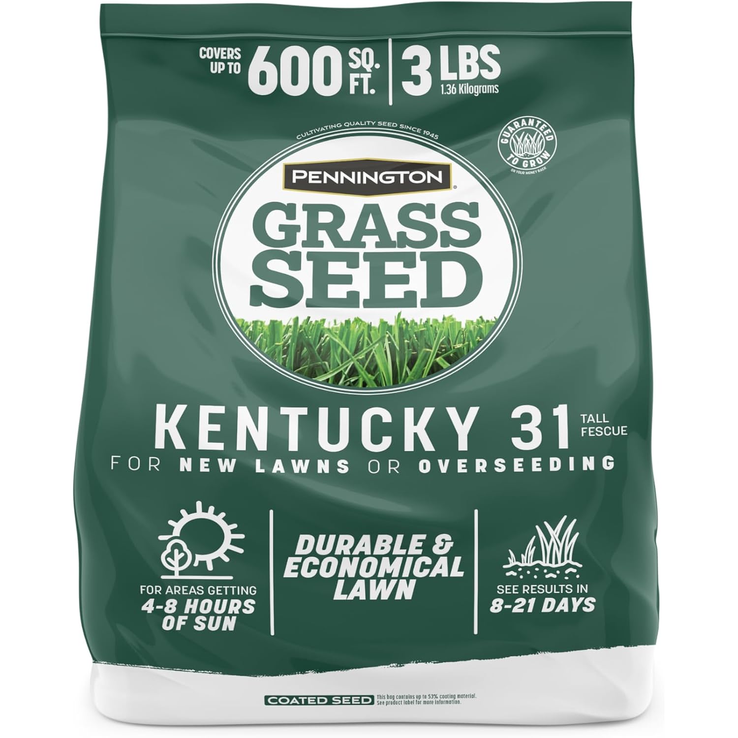 Pennington Kentucky 31 Fescue 3 Lb Tall Fescue Grass Seed, Grass Seeds For Lawn
