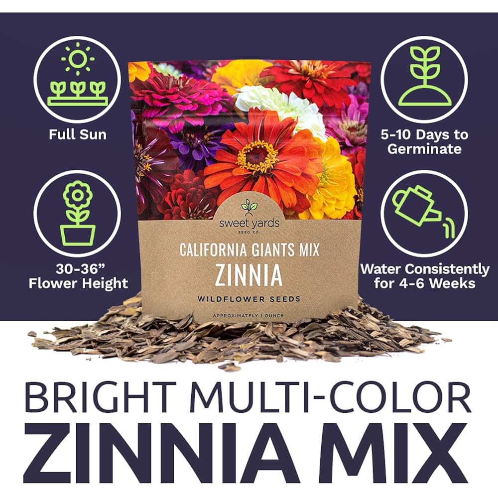Zinnia Seeds - California Giants Mix - Large 1 Ounce Packet - 3,000 Flower Seeds - Mixed Colors And Large Blooms
