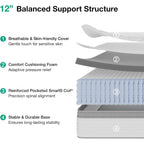 Novilla Queen Mattress, 12 Inch Hybrid Mattress Queen With Comfort Foam,Innerspring Pillow Top Mattresses In A Box, Pressure & Pain Relief, Soft Feel But Supportive