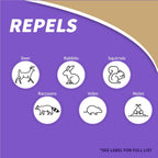 Bonide Repels-All Animal Repellent, 32 Oz Ready-To-Use Spray, Outdoor Garden Deer & Rabbit Repellent, People & Pet Safe