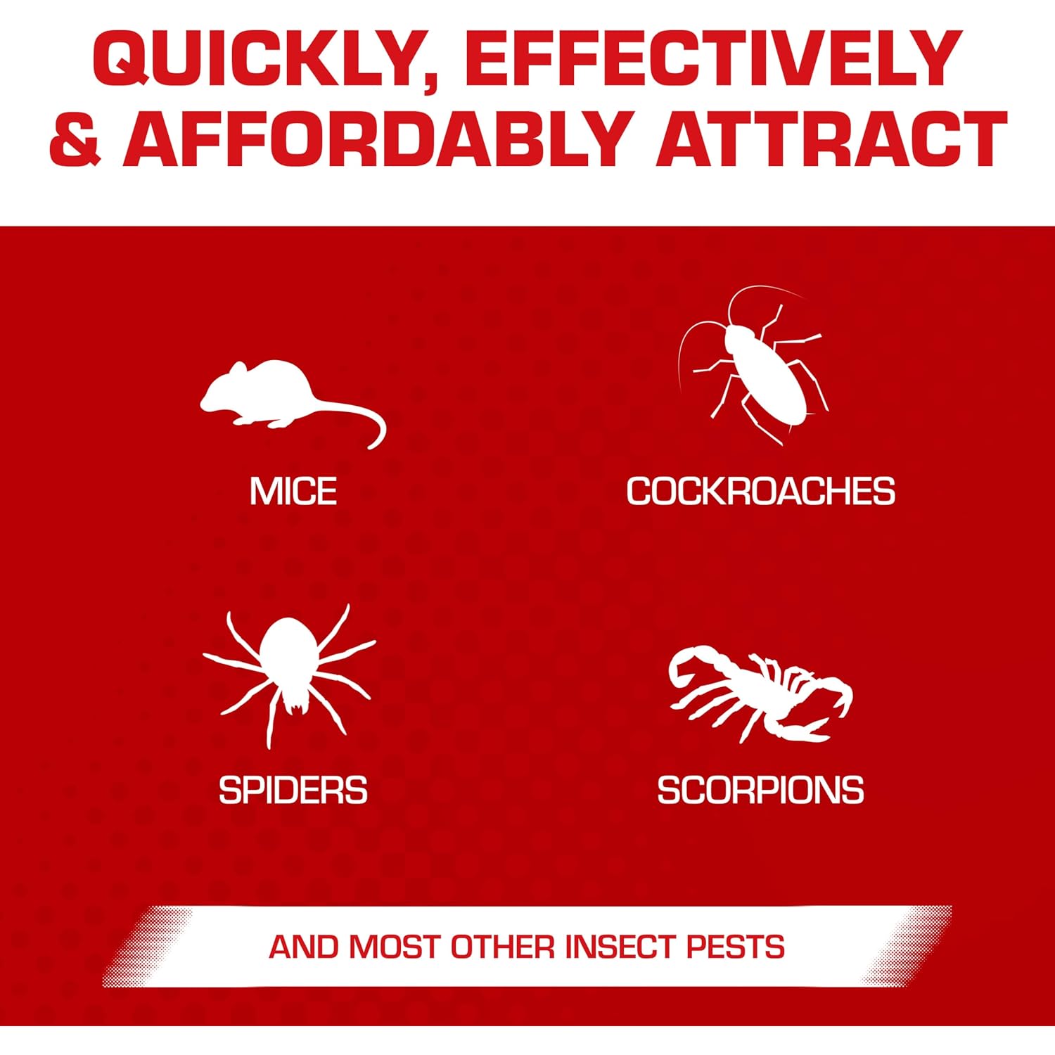Tomcat Super Hold Glue Traps Mouse Size For Mice, Cockroaches, Spiders, And Scorpions, Ready-To-Use, 4 Traps | For Mice, Cockroaches, Spiders, And Scorpions, Ready-To-Use