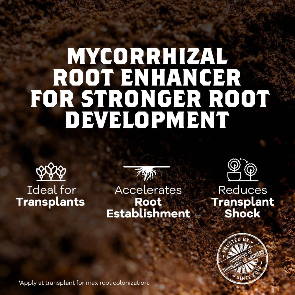 Dynomyco Granular Mycorrhizal Fungi Inoculant, 100G / 3.5Oz – Boosts Root Growth, Yields & Nutrient Uptake – 900 Propagules/G, Concentrated Granules, & Omri Listed – Biofertilizer For Plant Growth