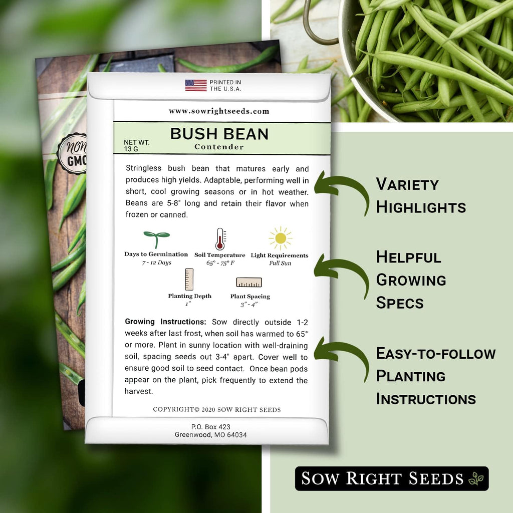 Sow Right Seeds - Contender Bush Bean Seed For Planting Green Beans Garden | Plant Stringless Non-Gmo Heirloom Variety For Home Outdoors Vegetable Gardening. Popular Fresh Veggies For Growing Outside.
