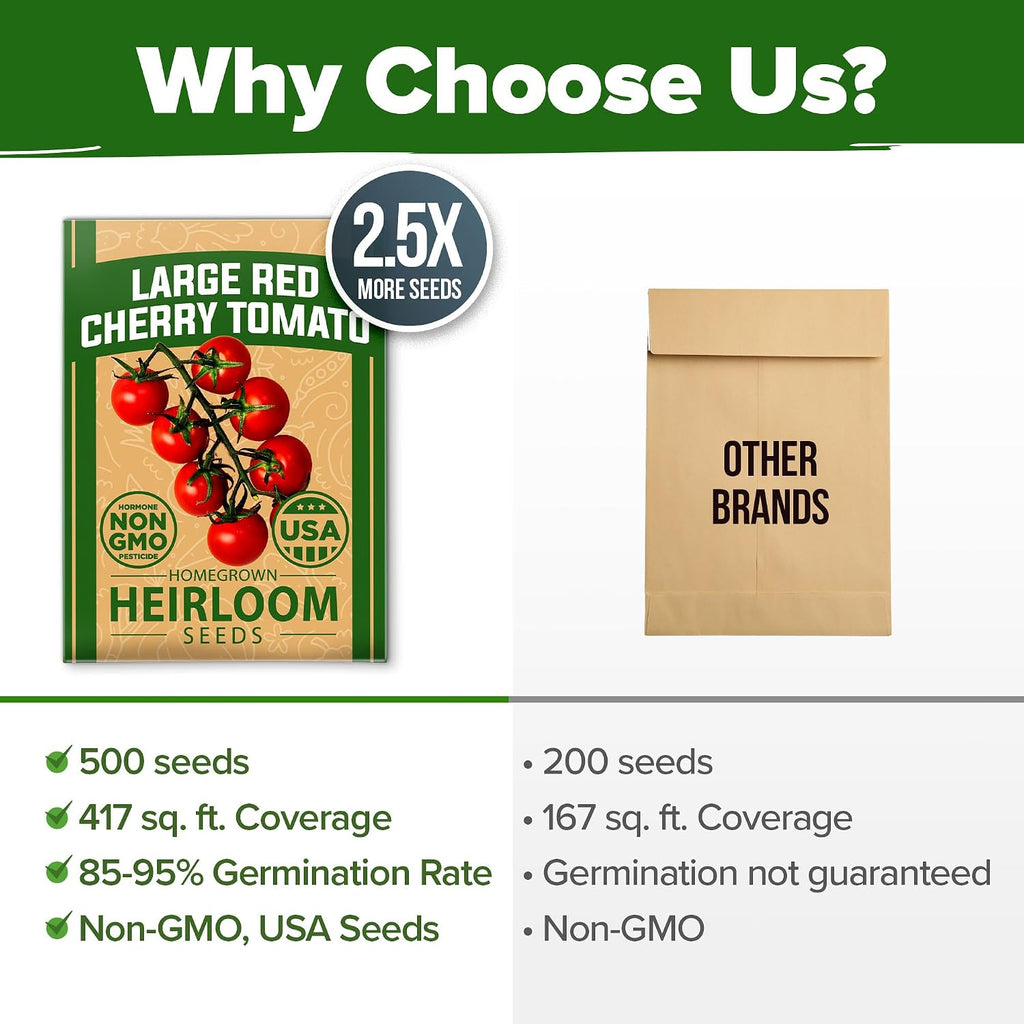 Home Grown Large Red Cherry Tomato Seeds 500+ Heirloom Non Gmo Seeds For Planting, High Germination, Indeterminate, Sweet & Juicy Salad Tomatoes, Prolific Garden Crop, Homestead (Solanum Lycopersicum)