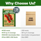 Home Grown Large Red Cherry Tomato Seeds 500+ Heirloom Non Gmo Seeds For Planting, High Germination, Indeterminate, Sweet & Juicy Salad Tomatoes, Prolific Garden Crop, Homestead (Solanum Lycopersicum)